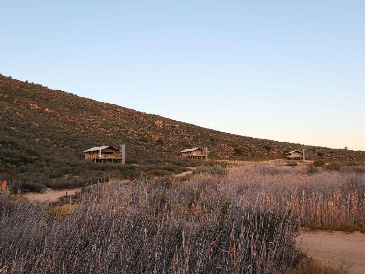 Villa Africamps At Karoo 1 De Doorns Exterior foto